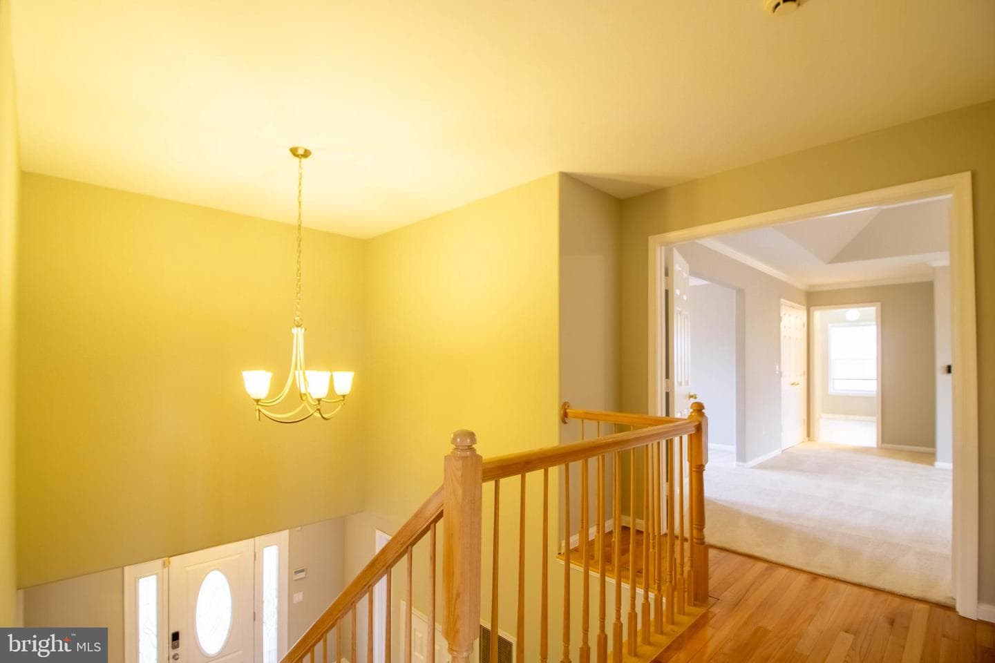 6 Nassau Court photo 43