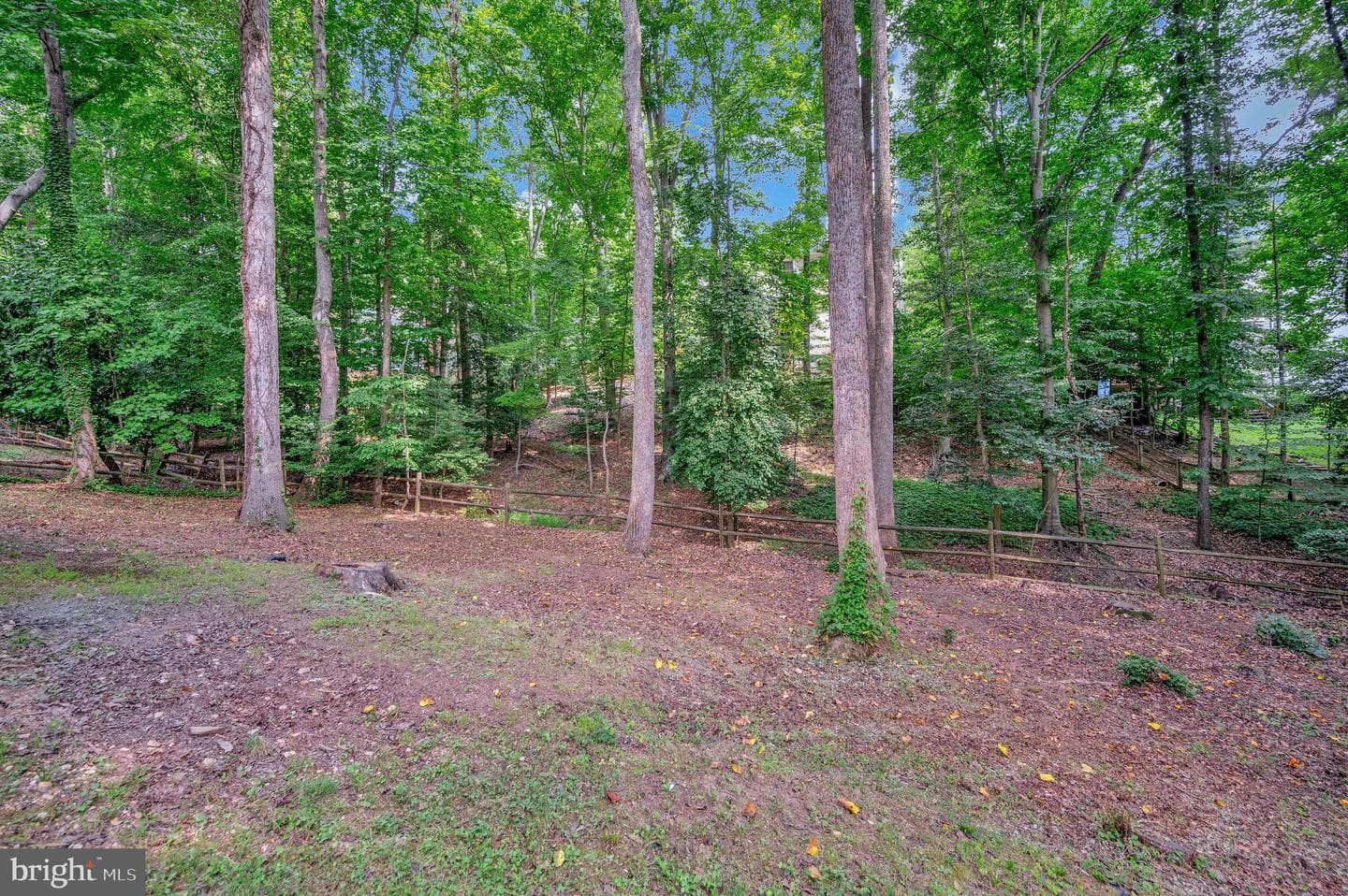 304 Commodore Cove photo 45