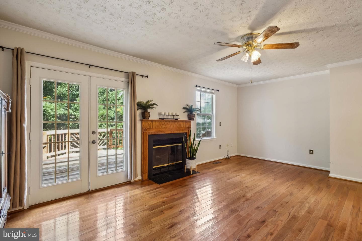 413 West Park Drive photo 5
