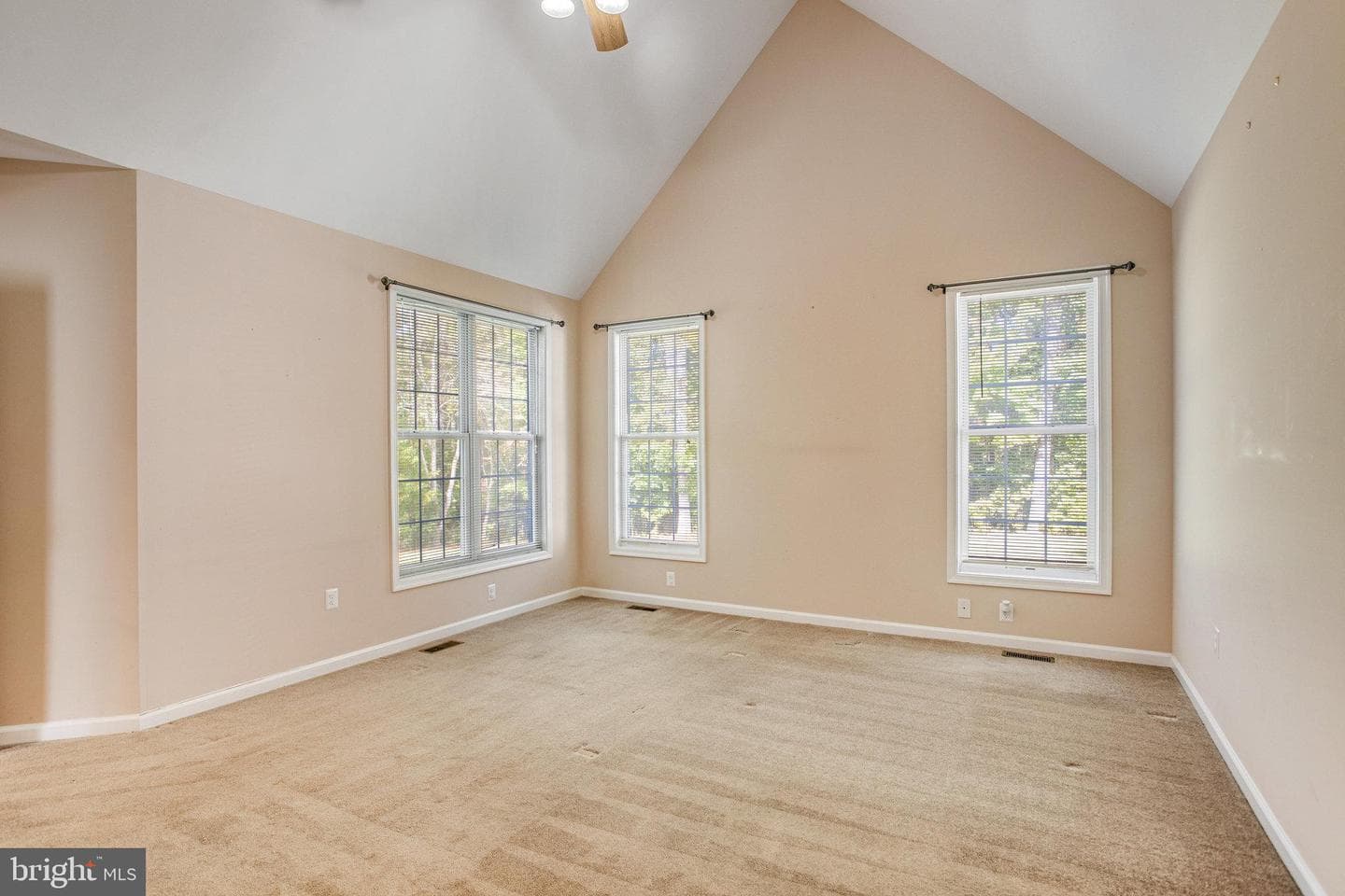 115 Mount Olive Road photo 30