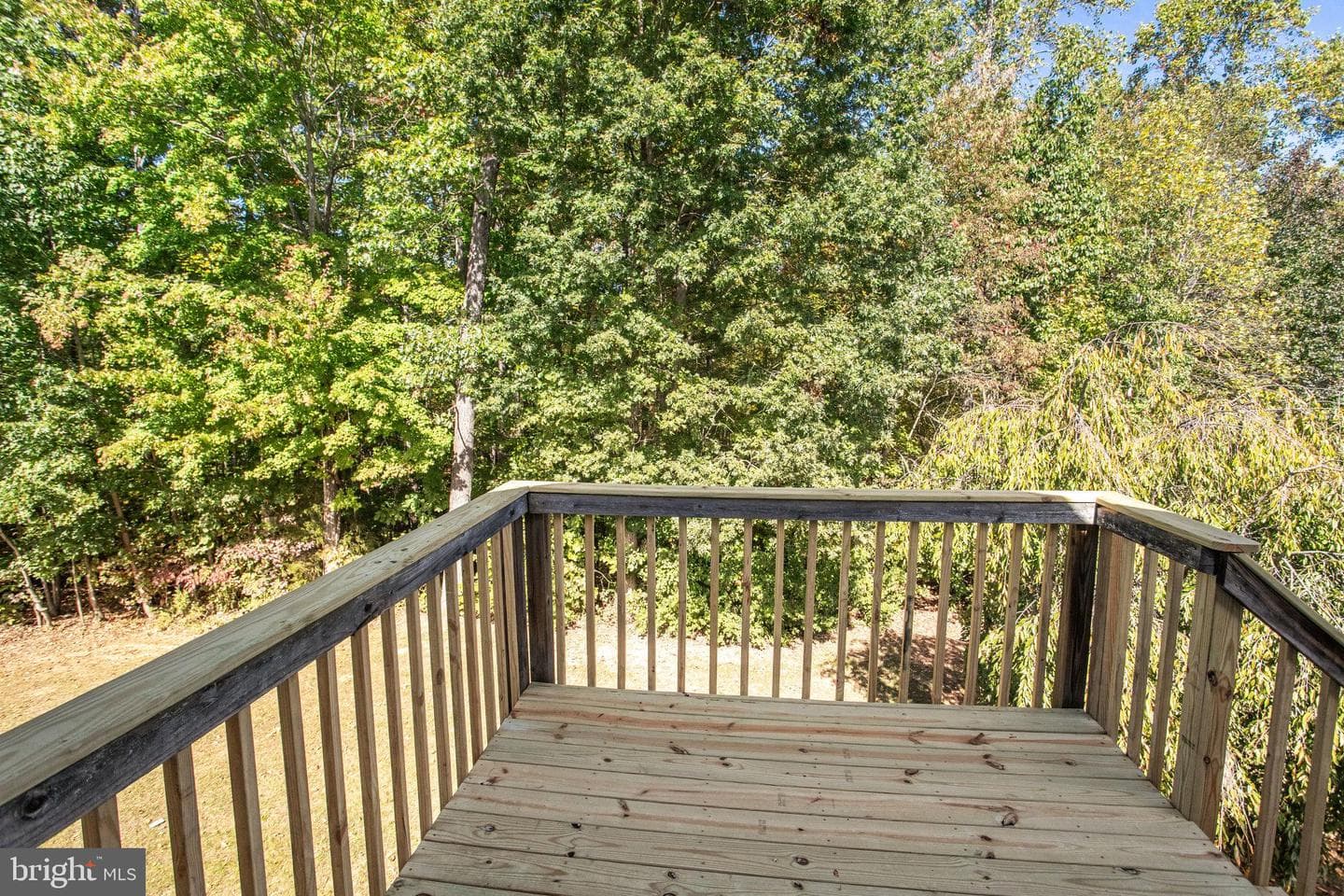 115 Mount Olive Road photo 6