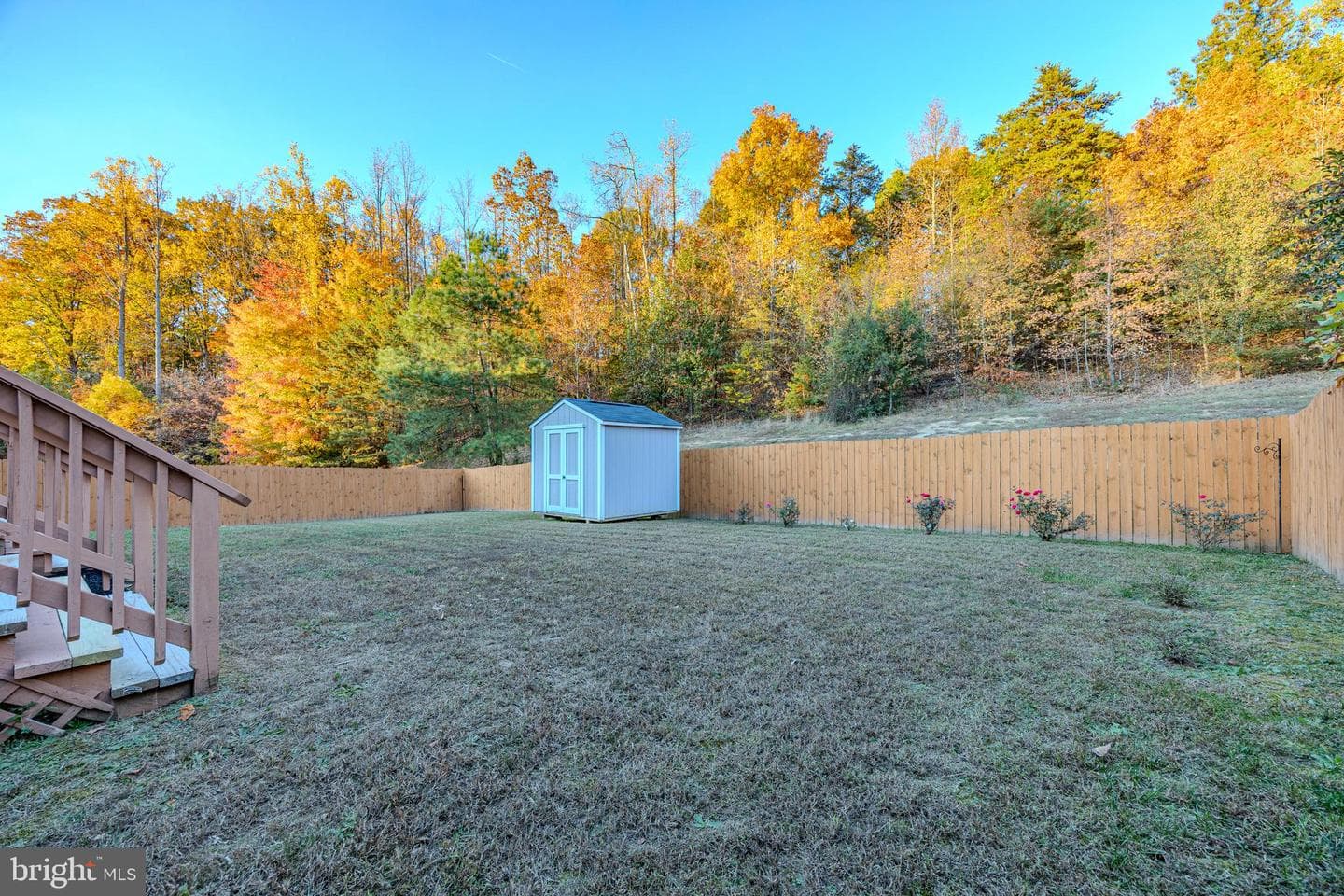 239 Olympic Drive photo 41