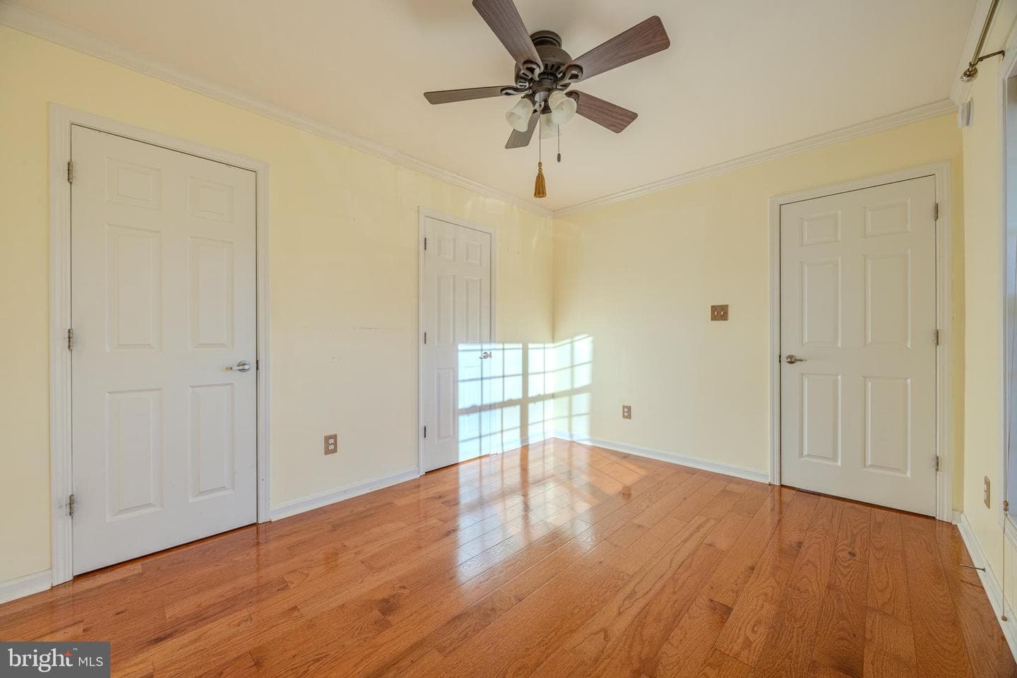 239 Olympic Drive photo 9