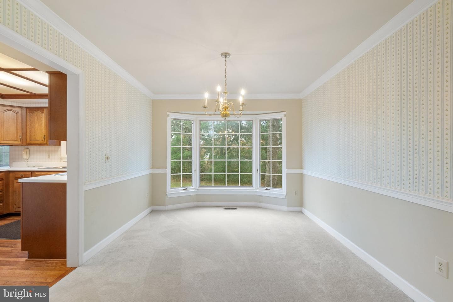 4 Dawson Drive photo 10