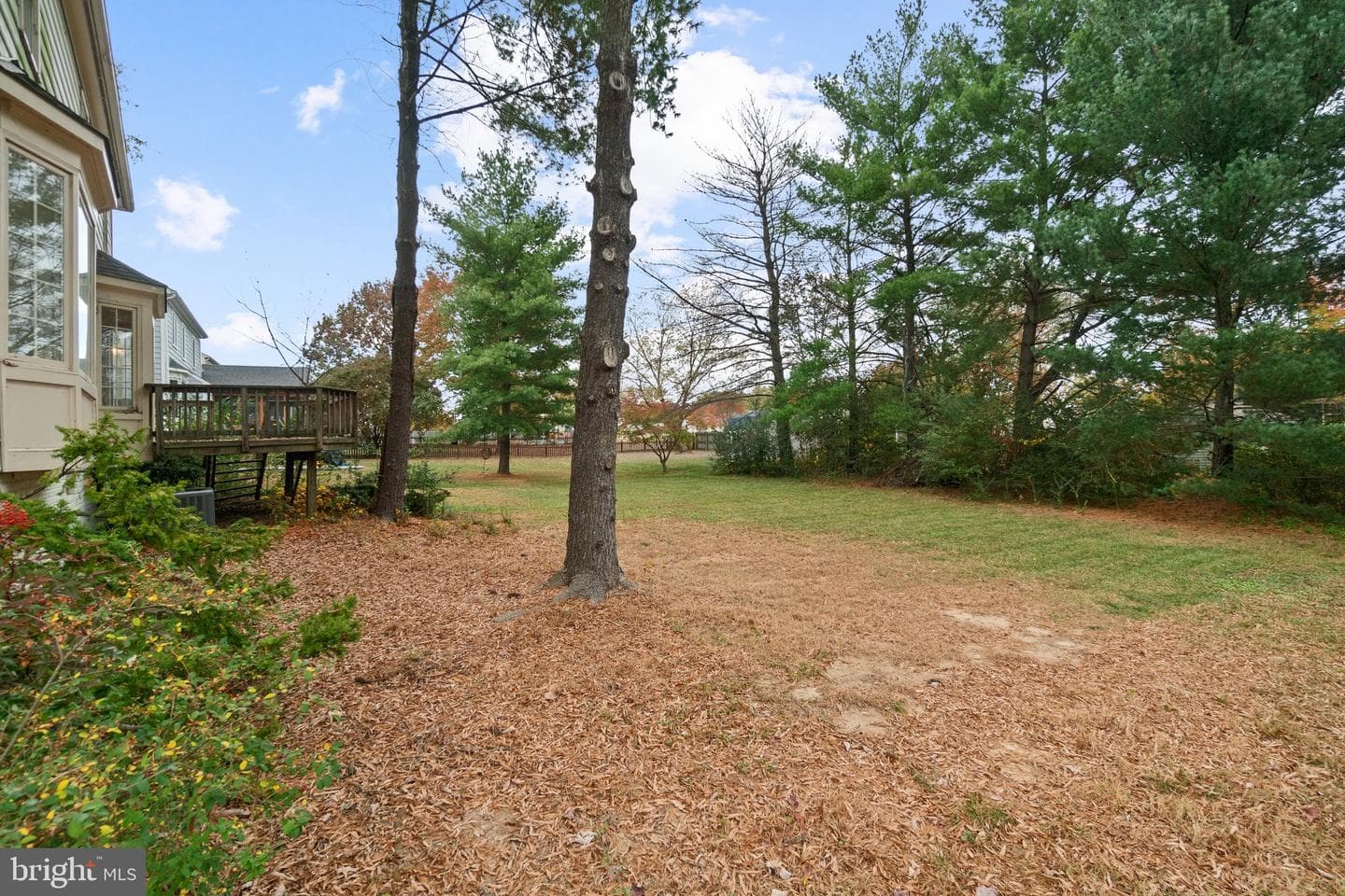 4 Dawson Drive photo 37
