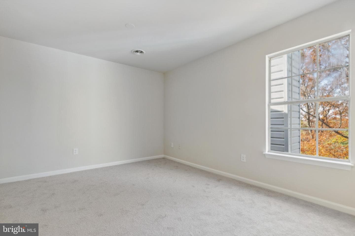 507 Wind Ridge Drive photo 13