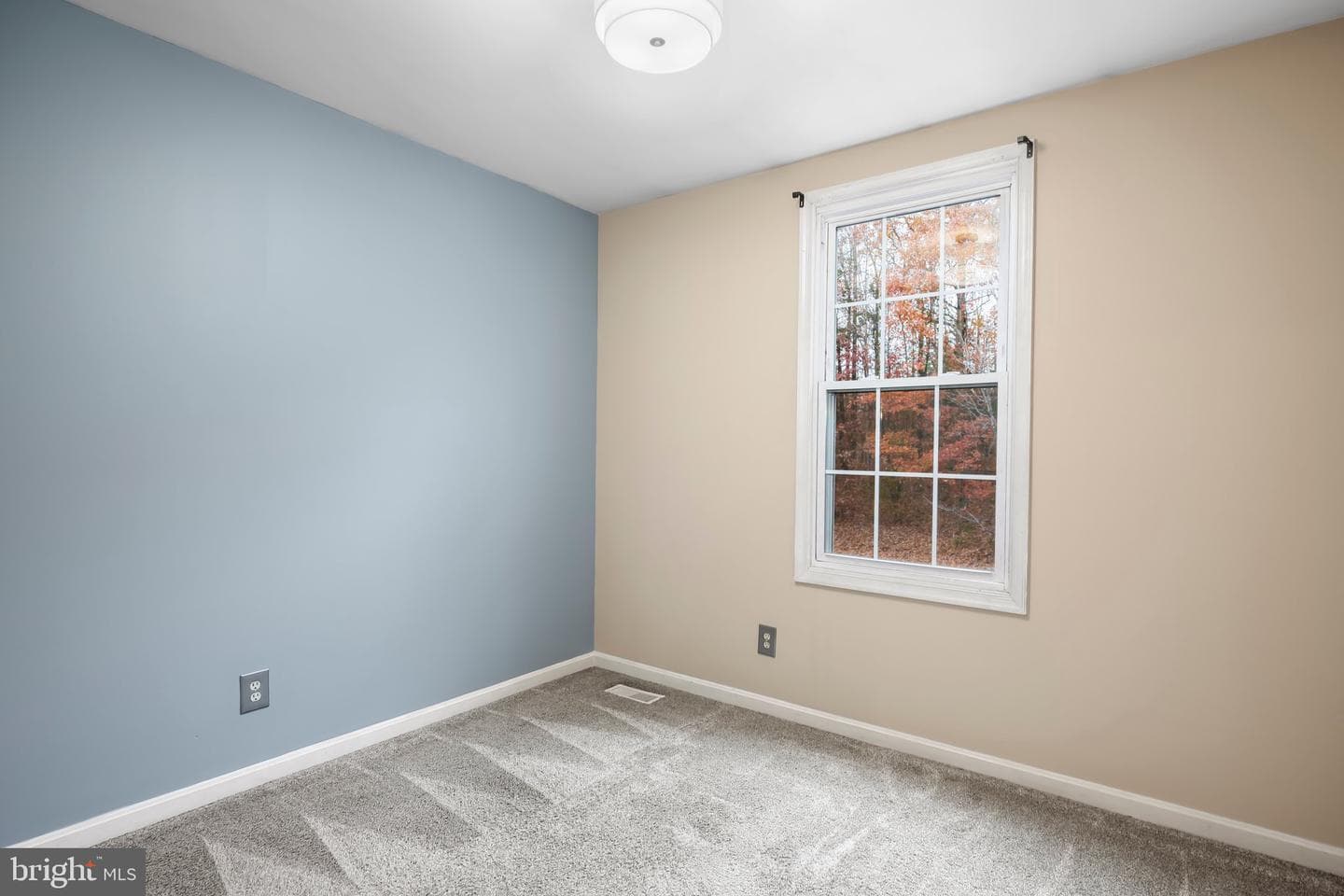 208 Batley Court photo 19