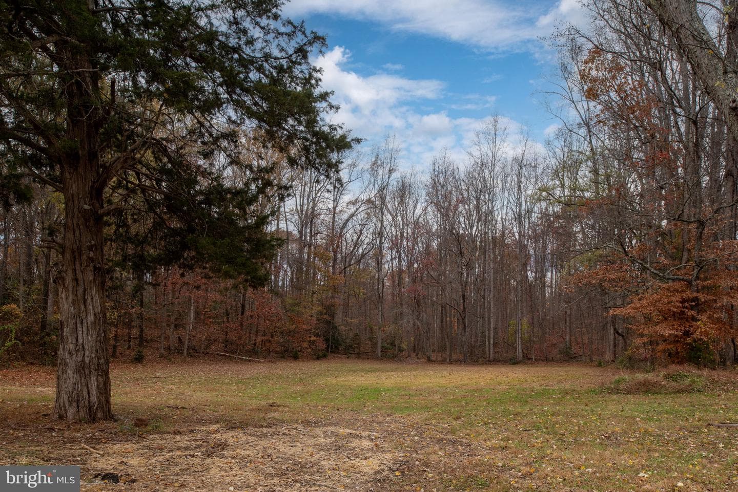 135 Morton Road photo 36