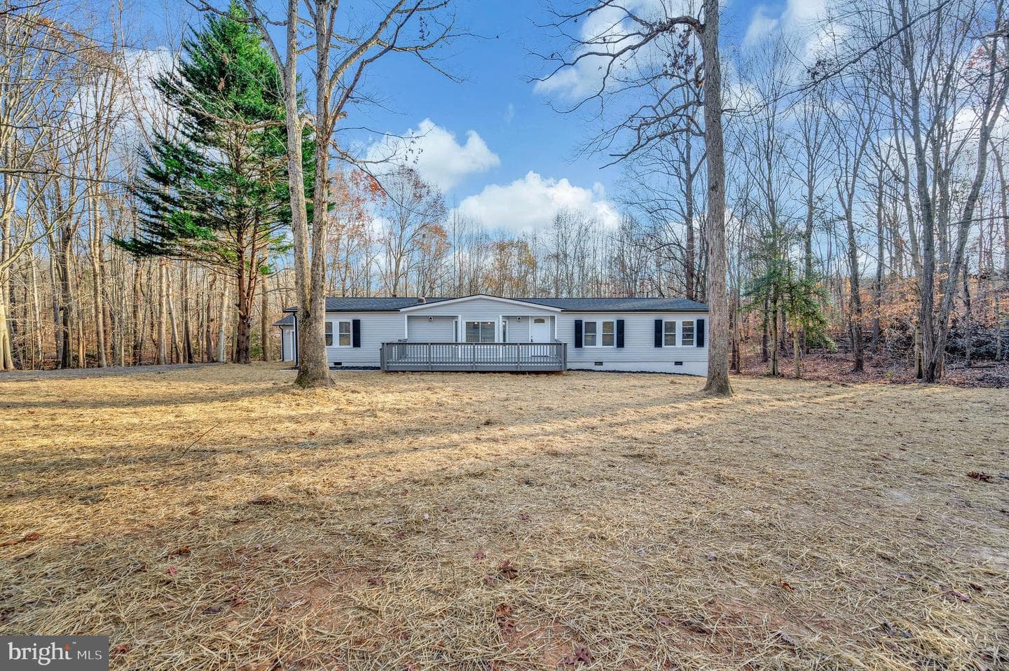 175 Meadows Road photo 47
