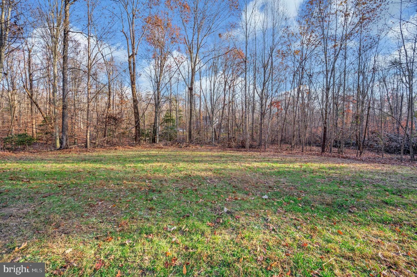 175 Meadows Road photo 53