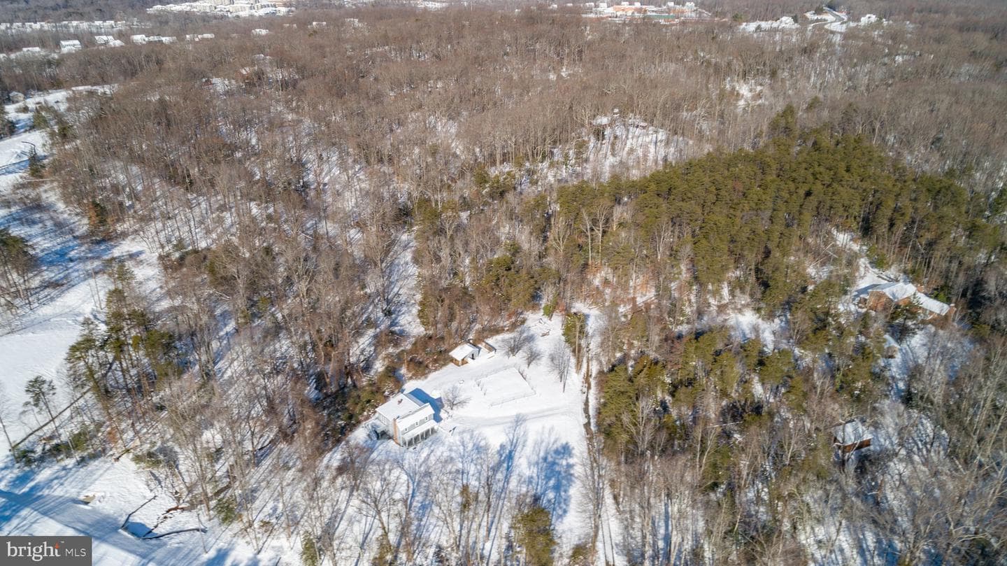 118 Bluebird Lane photo 33