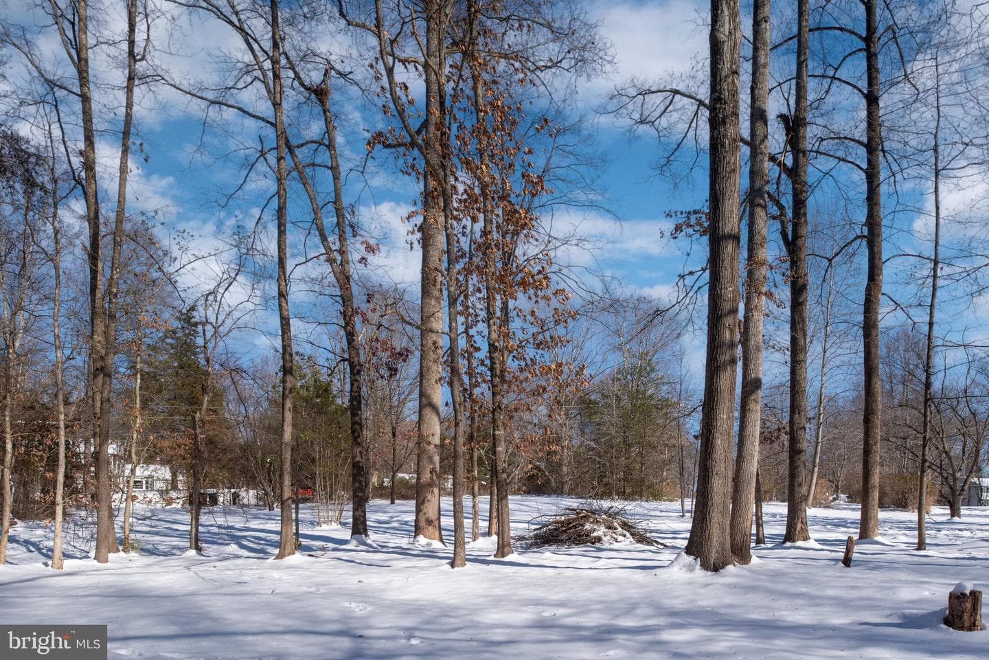 112 Plantation Lane photo 67