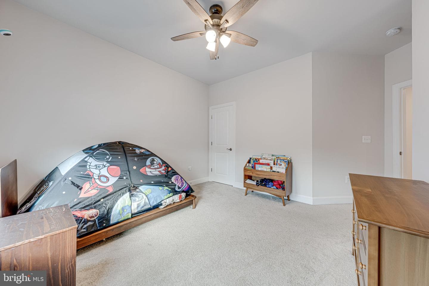 179 Boxelder Drive photo 27