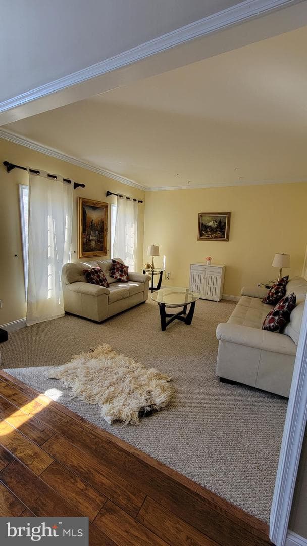 120 Avocet Way photo 4