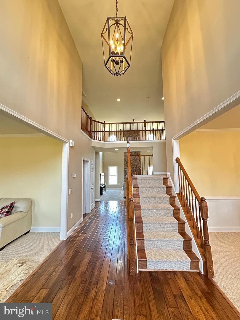 120 Avocet Way photo 5
