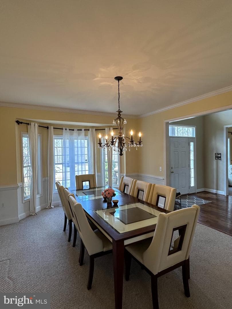 120 Avocet Way photo 6