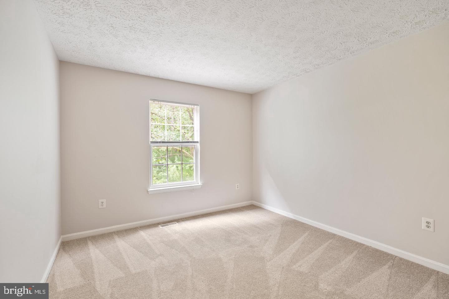 415 Park Cove Drive photo 15