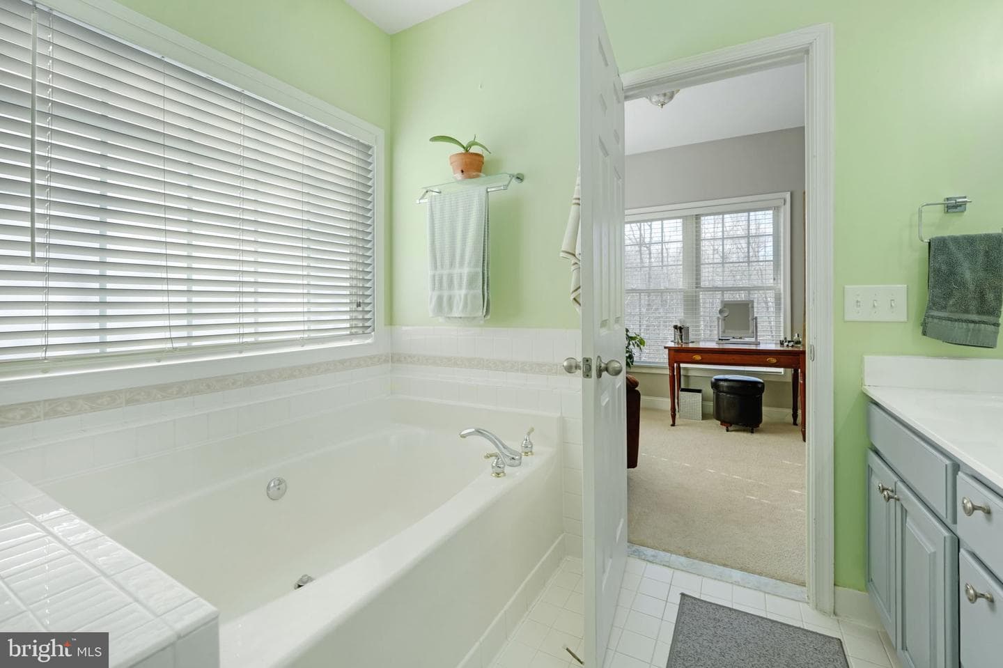 6 Cloverleaf Court photo 25
