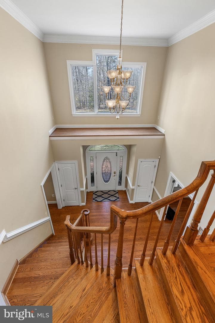 8 Holly Court photo 24