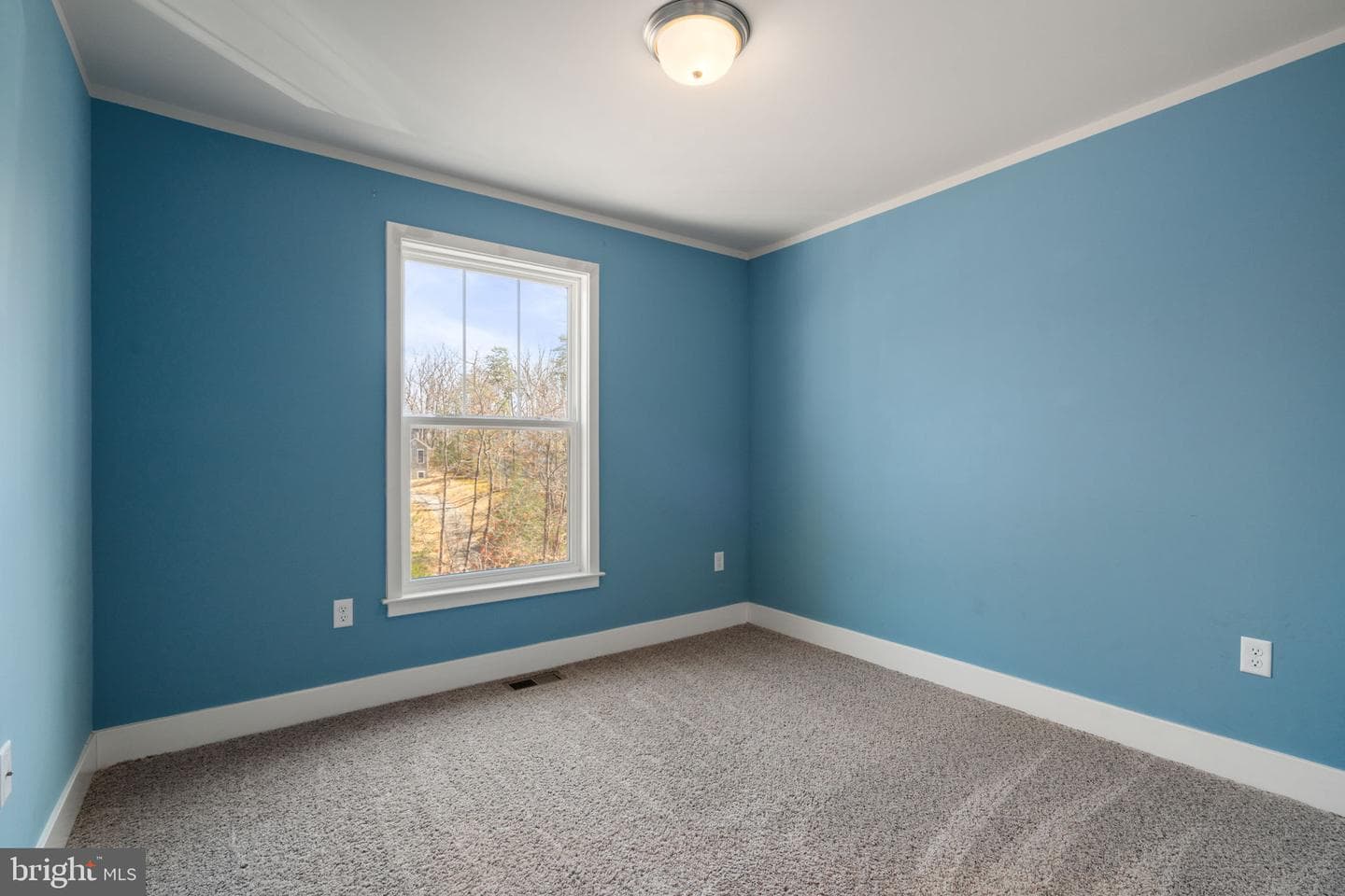 1015 Harbour Drive photo 22