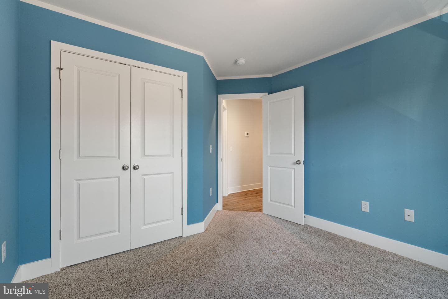 1015 Harbour Drive photo 23