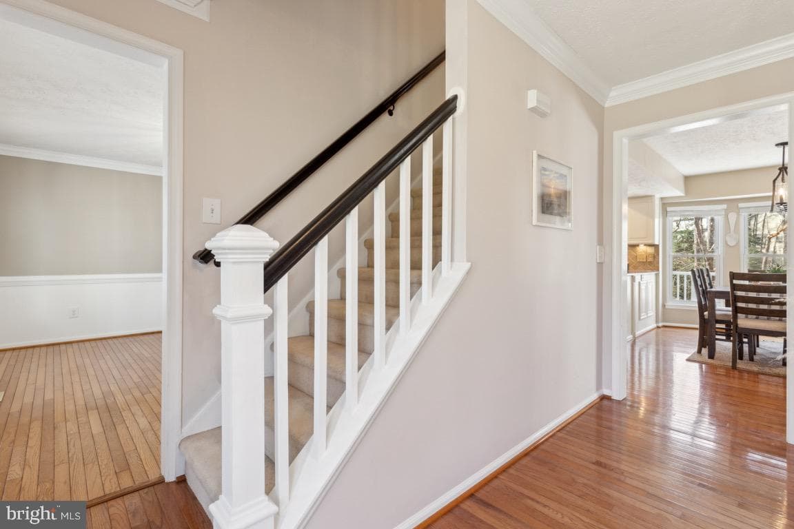 3013 Mediterranean Drive photo 5