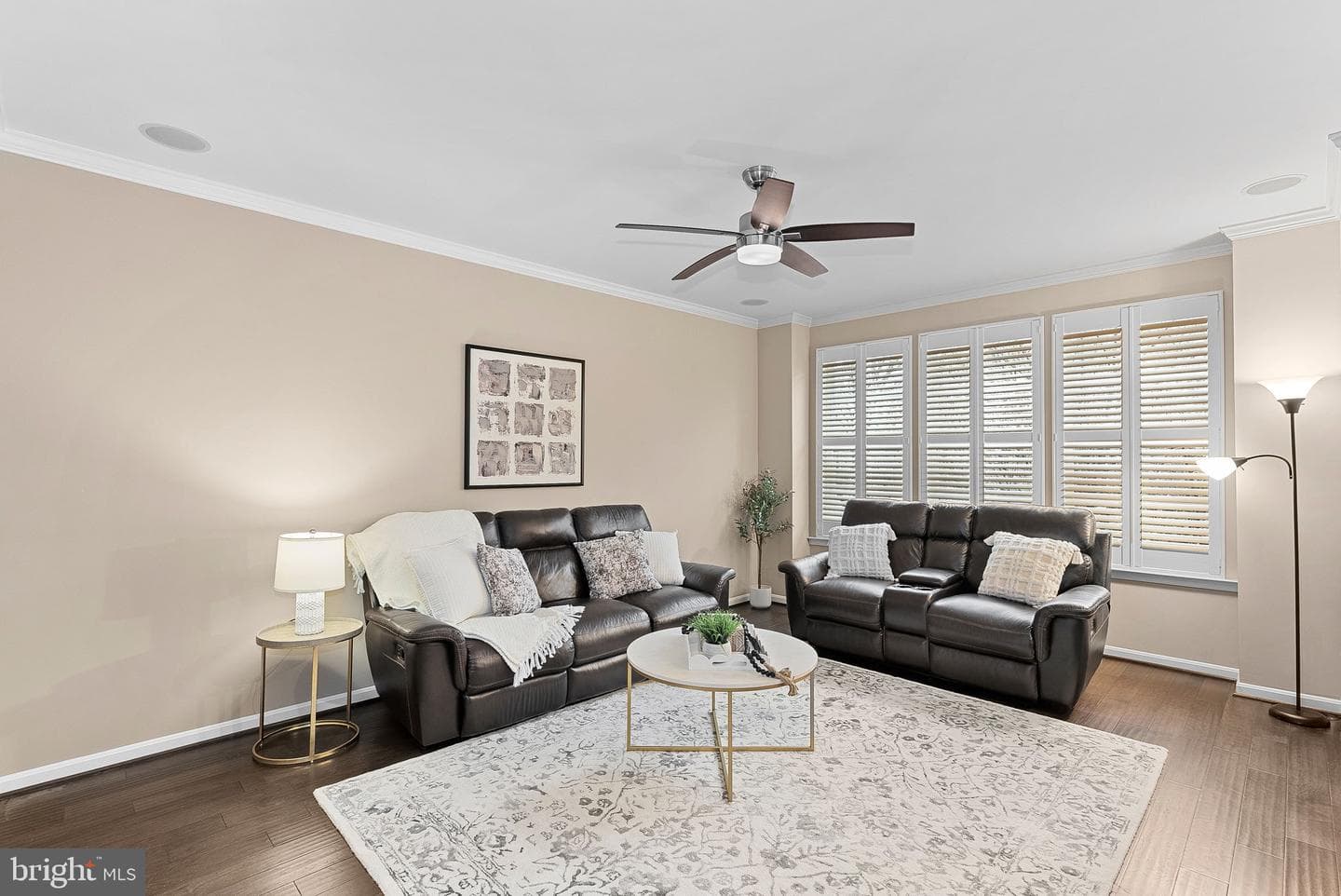 202 Apricot Street photo 3