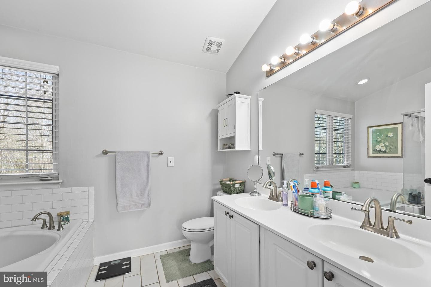 27 Wild Plum Court photo 21