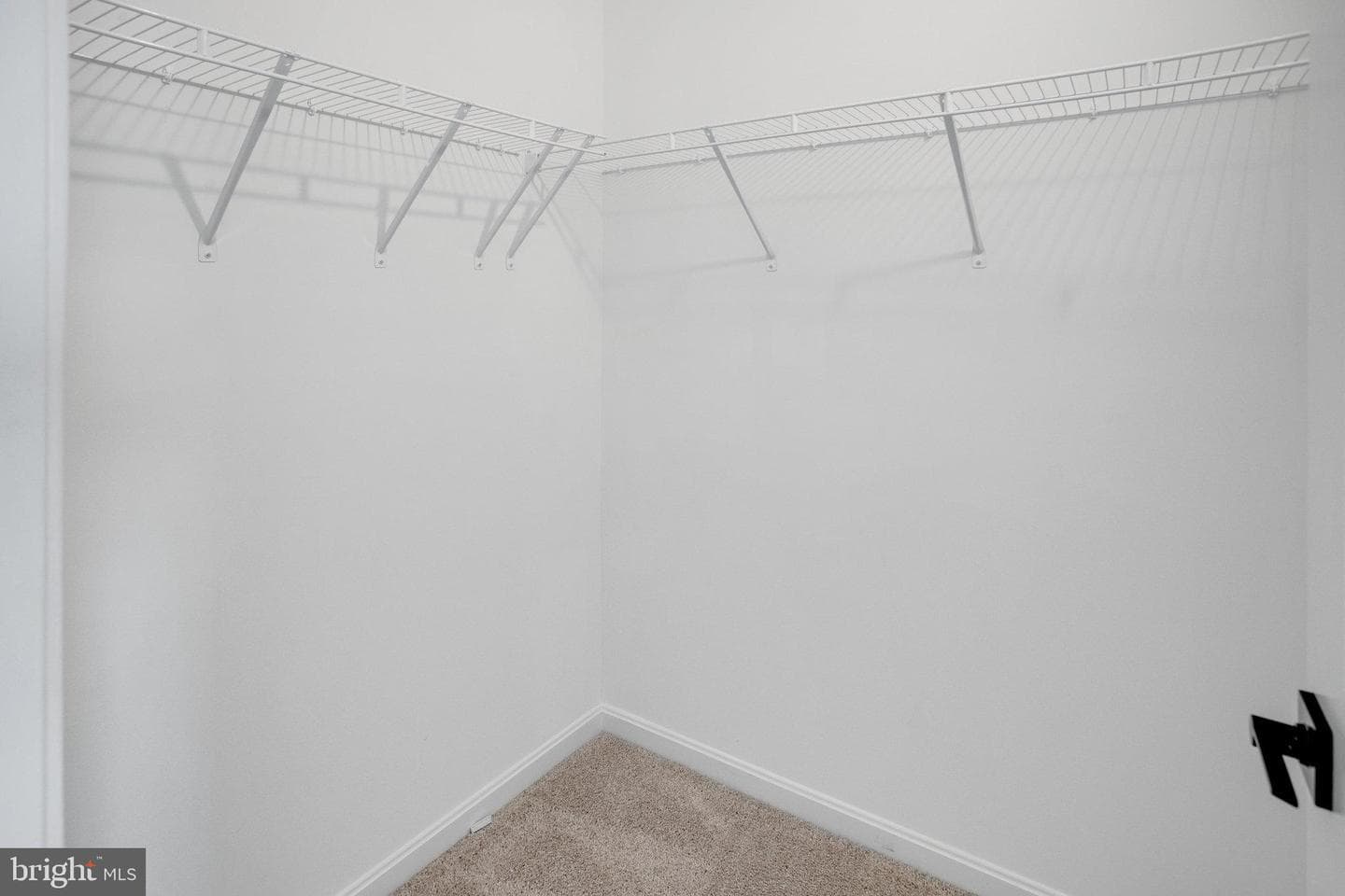 209 Camwood Court photo 36