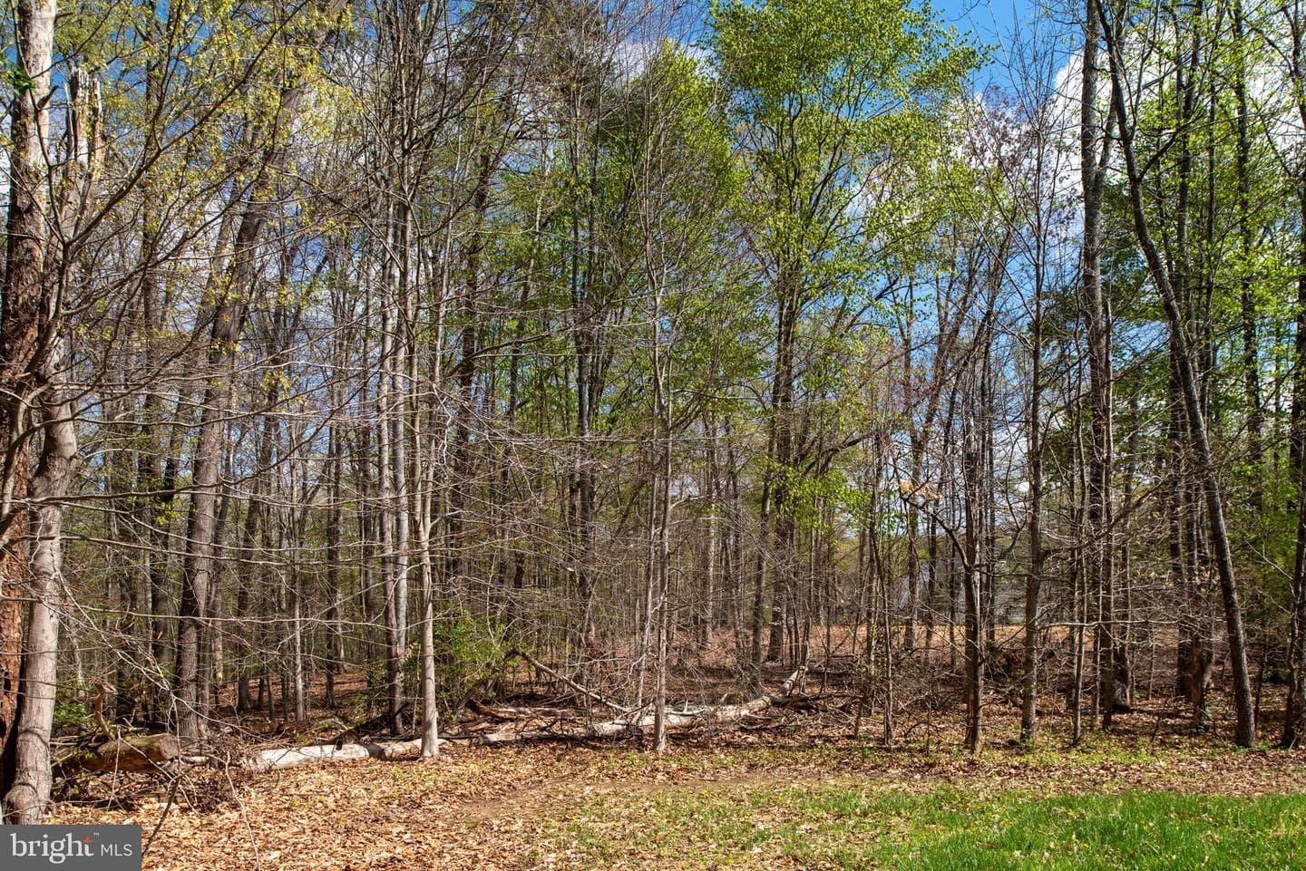 11 Aiden Dr photo 66