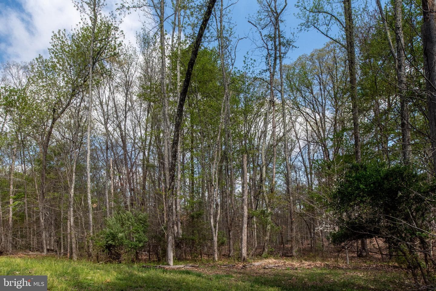 11 Aiden Dr photo 76