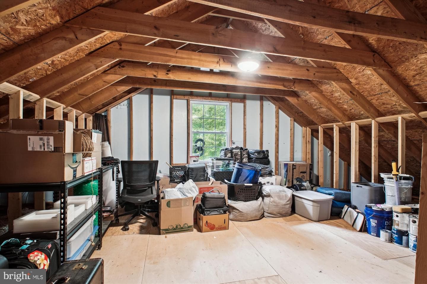 97 Plume Court photo 33