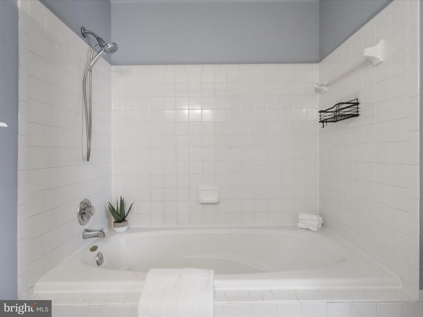 303 Mayfair #187 photo 22