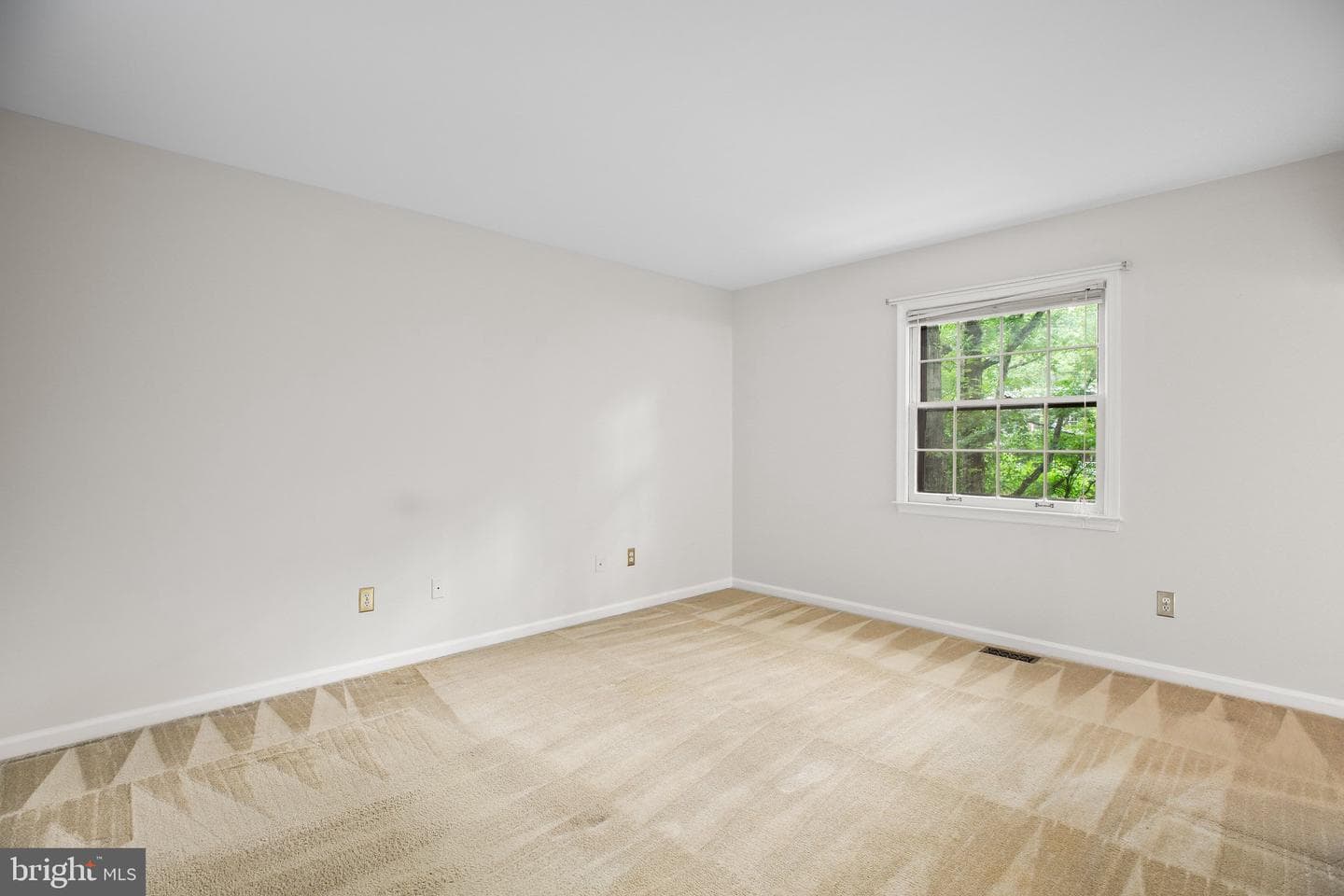 1135 Columbus Drive photo 22