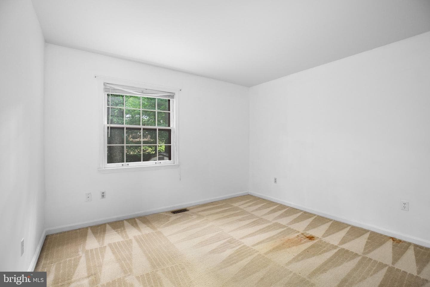 1135 Columbus Drive photo 28