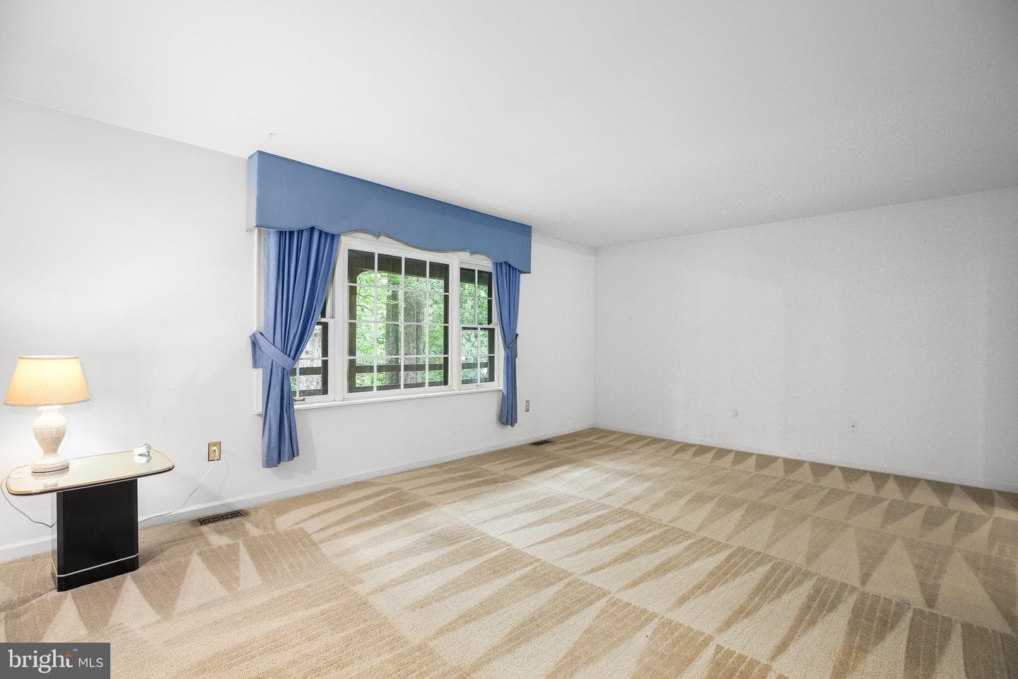 1135 Columbus Drive photo 7