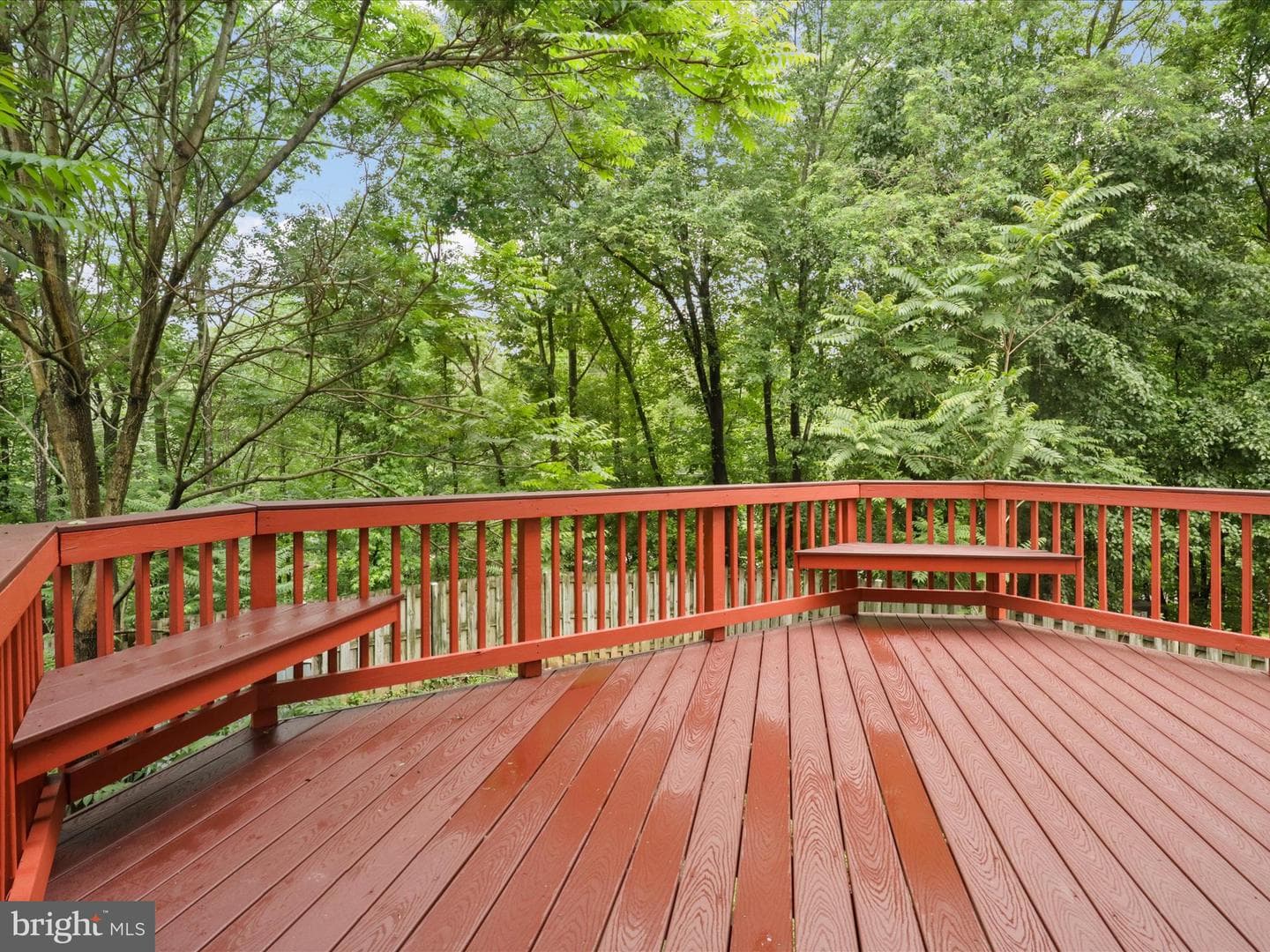 109 Donelson Loop photo 13