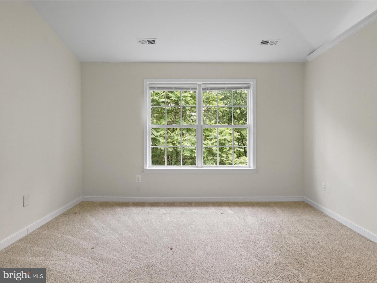 109 Donelson Loop photo 14
