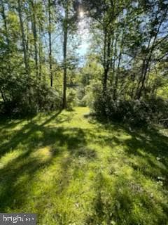 107 Shady Creek Lane photo 11