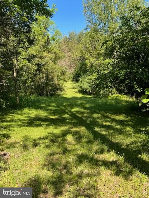 107 Shady Creek Lane photo 31