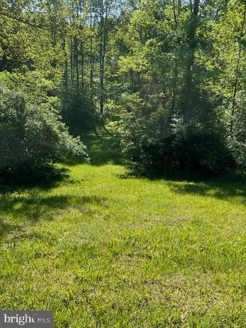 107 Shady Creek Lane photo 42
