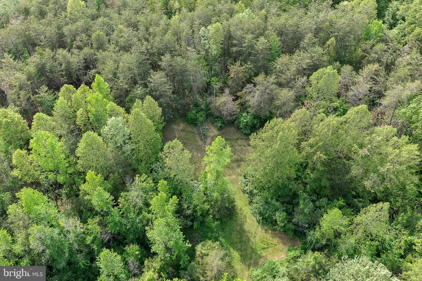 107 Shady Creek Lane photo 47