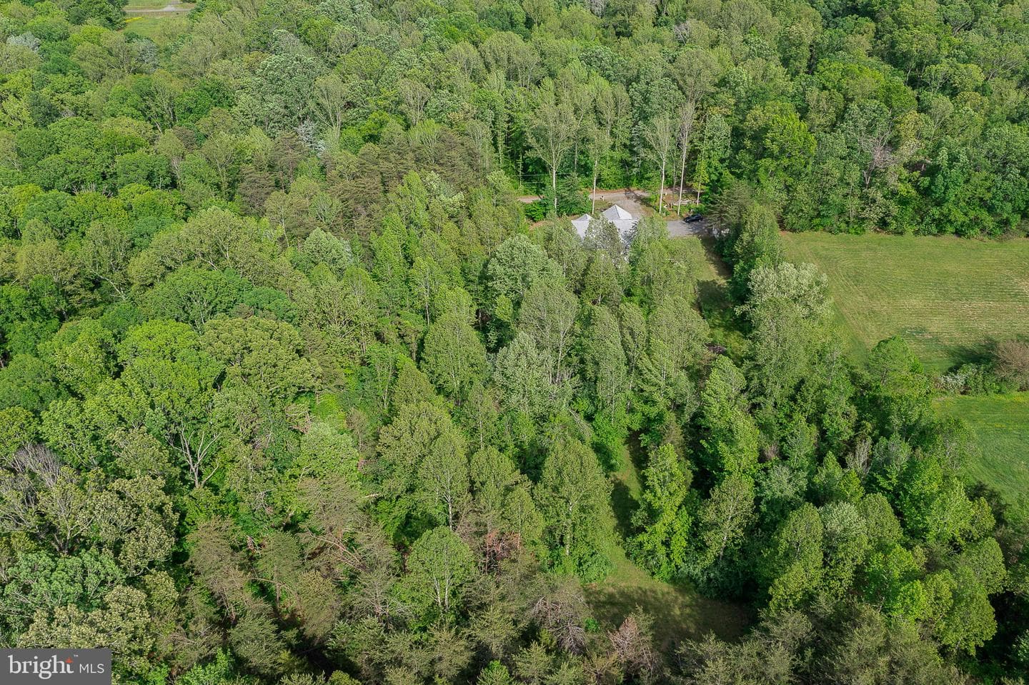 107 Shady Creek Lane photo 48
