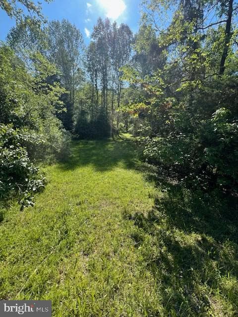 107 Shady Creek Lane photo 53