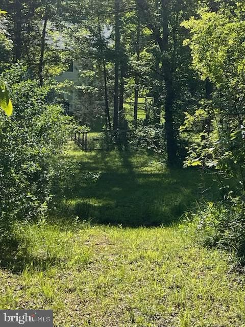 107 Shady Creek Lane photo 58