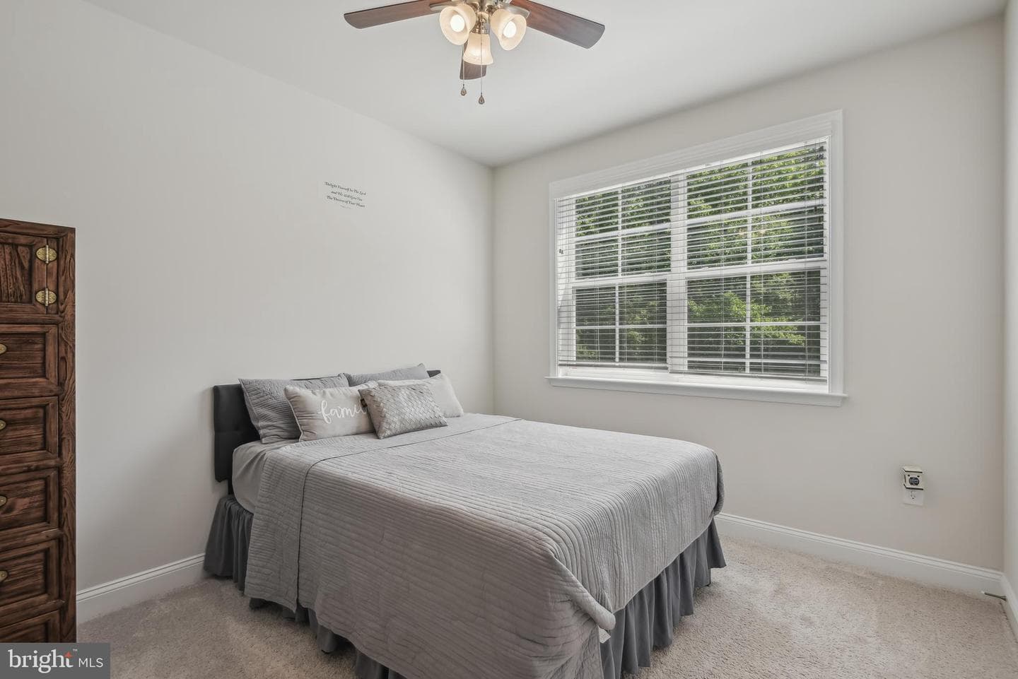 209 Elm Street photo 18