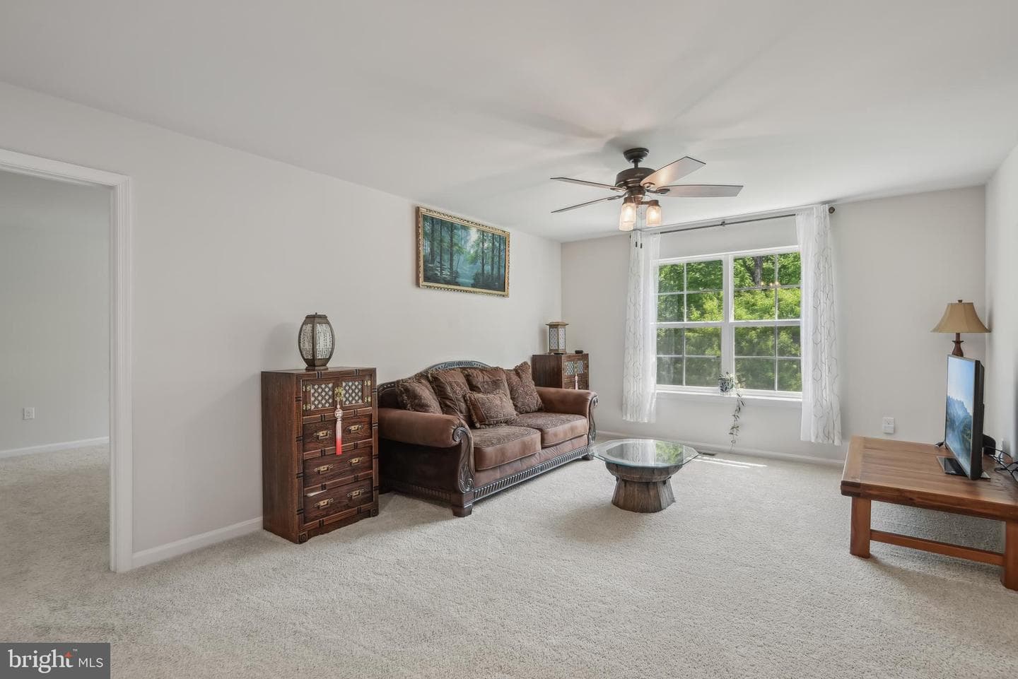 209 Elm Street photo 19