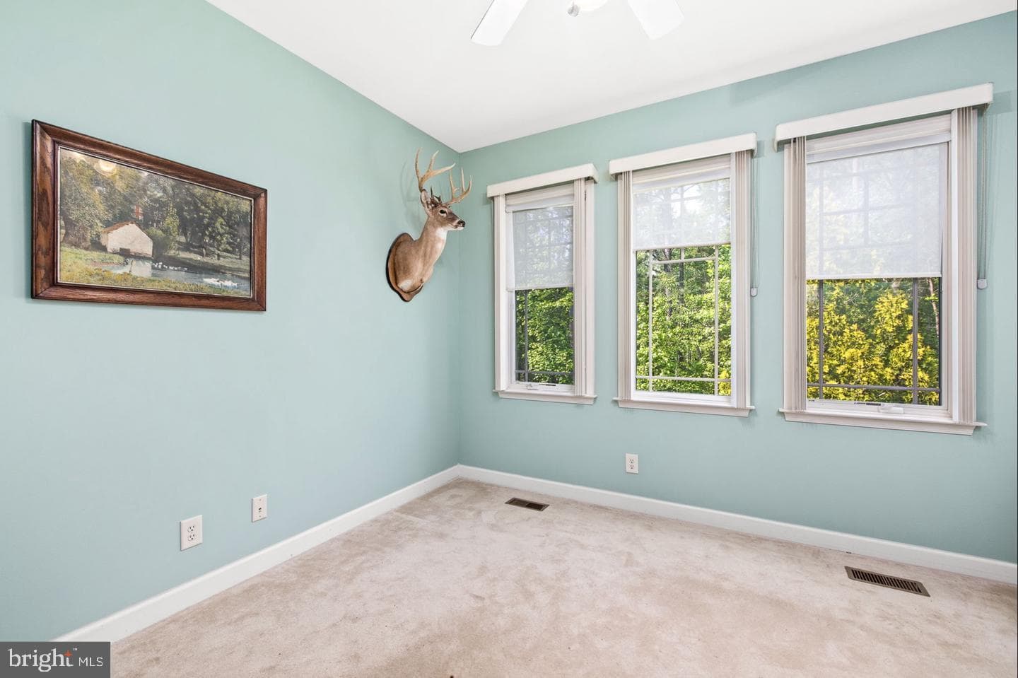 10 Piper Place photo 11