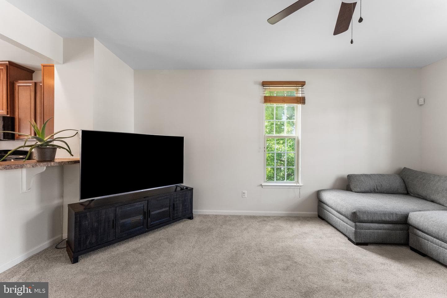 300 Brenton Road #14 photo 23