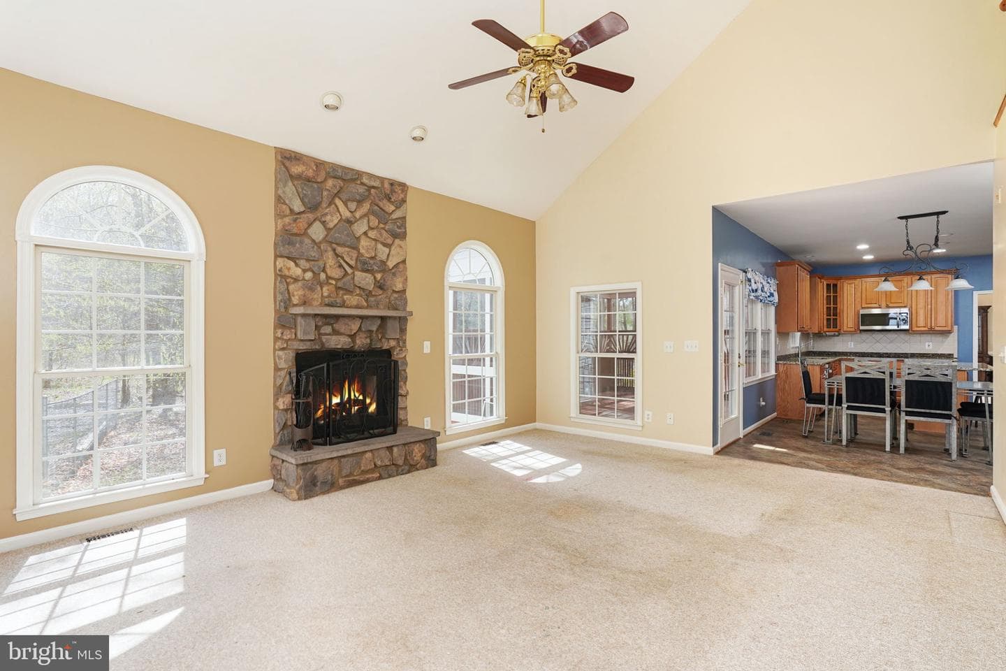 480 Stefaniga Road photo 24